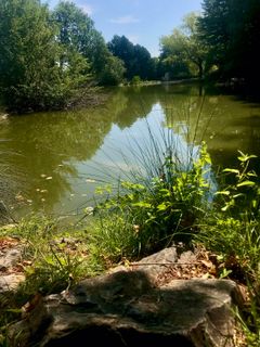 Zdjęcie z Kellner Heidi wzdłuż trasy