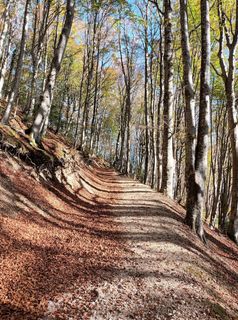 Fotografija s spletne strani Gabriele Cucchi na poti