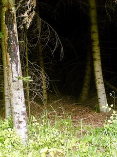 Photo de Kellner Heidi le long du parcours