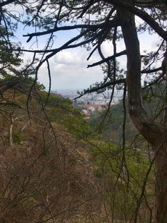 Photo de Kellner Heidi le long du parcours