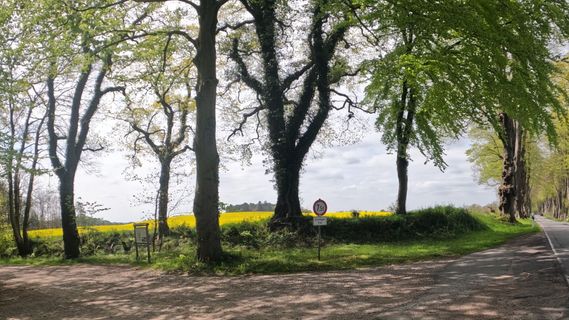 Foto von Bernd Schmitt entlang der Tour