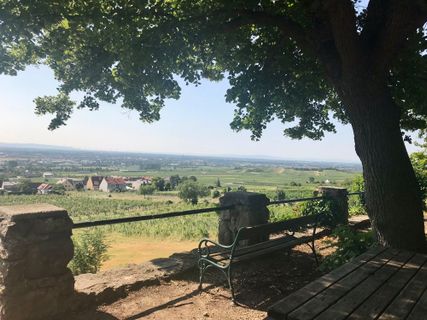 Photo de Kellner Heidi le long du parcours