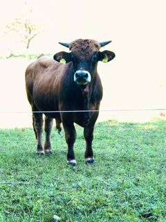 Foto von Kellner Heidi entlang der Tour