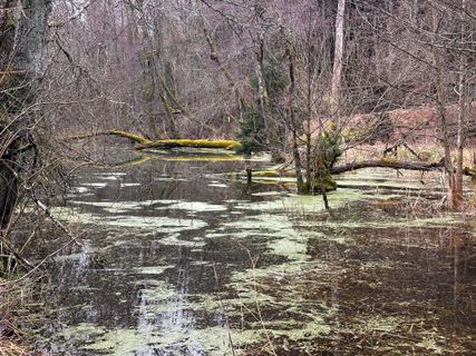 Foto von Norbert Herbig entlang der Tour