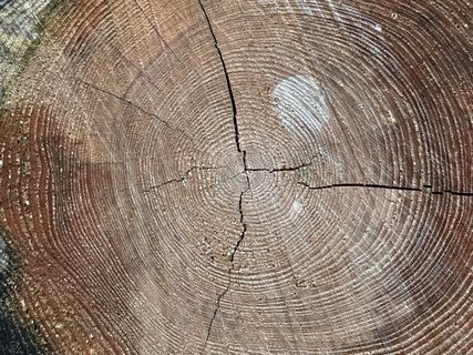 Foto von Norbert Herbig entlang der Tour