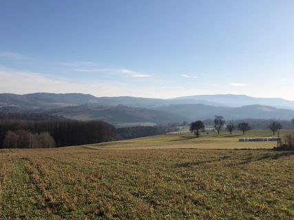 Fotografia z Barbara Schober na trase