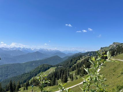 Fotografija s spletne strani Simone Maier na poti
