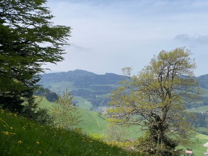Fotografie z GabrielSR76 na trase
