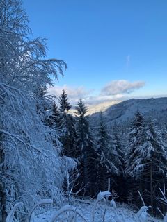 Foto de Dragana Martinovic a lo largo del recorrido