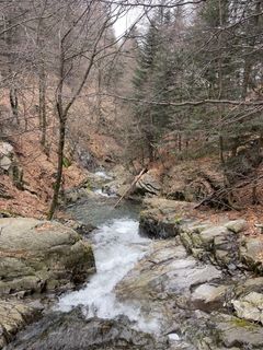 Photo de GabrielSR76 le long du parcours