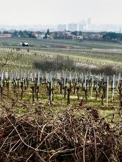 Fotografie z Kellner Heidi na trase