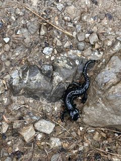 Photo de Norbert Herbig le long du parcours