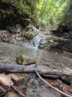 Photo de Korbinian Astner le long du parcours