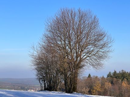 Photo de Norbert Herbig le long du parcours
