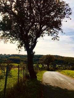 Fotografia z Kellner Heidi na trase