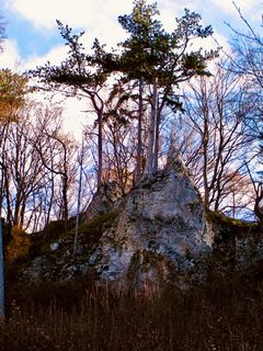 Kuva osoitteesta Kellner Heidi matkan varrella