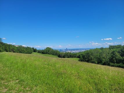 Fotografija s spletne strani mmecki na poti