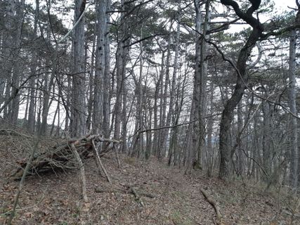 Fotografia z mmecki na trase