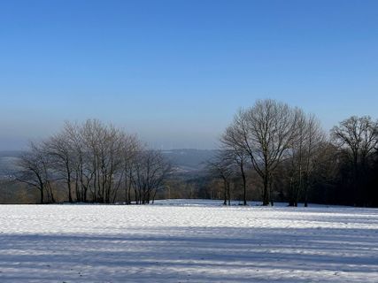 Photo de Norbert Herbig le long du parcours