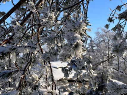 Foto von Norbert Herbig entlang der Tour