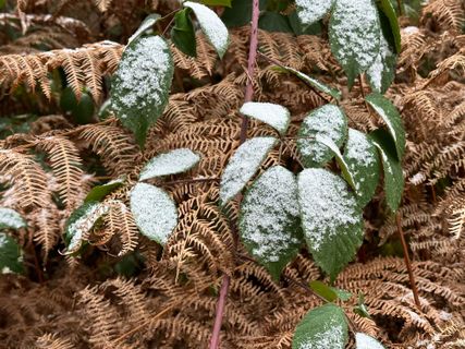 Foto von Norbert Herbig entlang der Tour