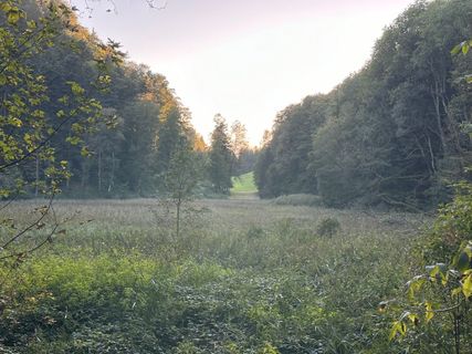 Zdjęcie z Norbert Herbig wzdłuż trasy