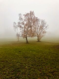 Zdjęcie z Kellner Heidi wzdłuż trasy
