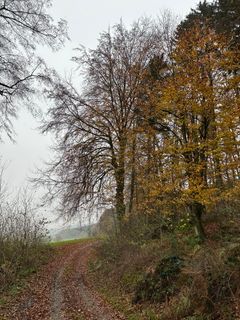 Fotografia z Norbert Herbig na trase