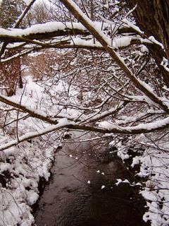 Foto von Kellner Heidi entlang der Tour