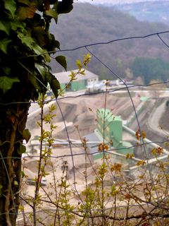 Zdjęcie z Kellner Heidi wzdłuż trasy