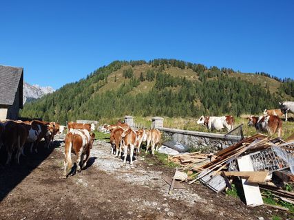 Foto von Walter Dienstl entlang der Tour