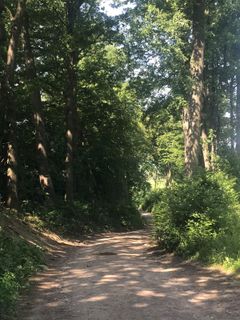 Photo de Kellner Heidi le long du parcours