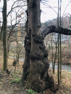 Fotografie z Kellner Heidi na trase