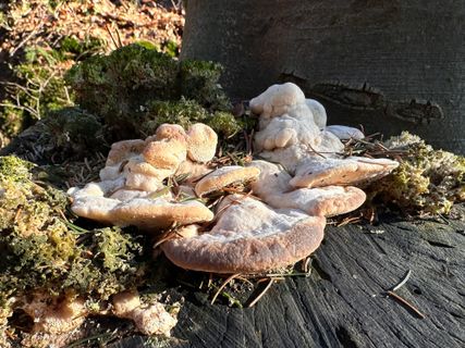 Foto von Norbert Herbig entlang der Tour