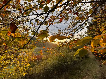 Foto de Norbert Herbig a lo largo del recorrido