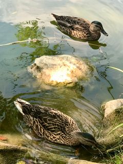 Zdjęcie z Kellner Heidi wzdłuż trasy