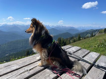 Foto von Simone Maier entlang der Tour