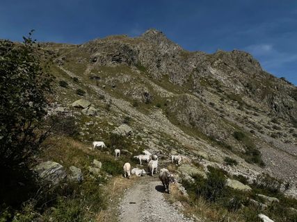 Photo de Toni Lerda le long du parcours