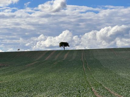 Fotografia z Norbert Herbig na trase