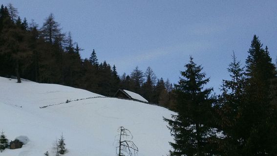 Fotografija s spletne strani Silvia Kehl na poti