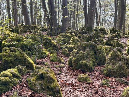 Foto de Norbert Herbig a lo largo del recorrido