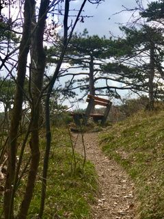 Photo de Kellner Heidi le long du parcours