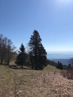Foto de Jan Nyffenegger a lo largo del recorrido
