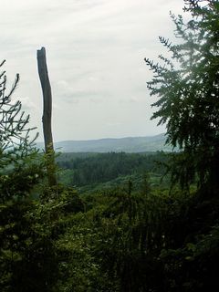 Foto von Kellner Heidi entlang der Tour