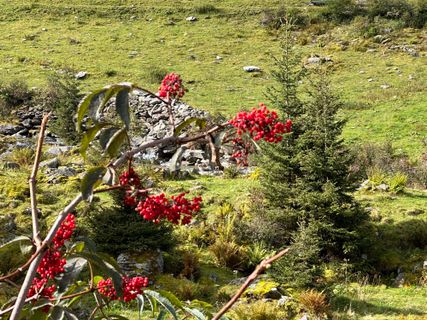 Zdjęcie z Norbert Herbig wzdłuż trasy