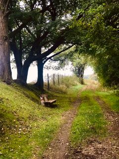 Foto von Kellner Heidi entlang der Tour