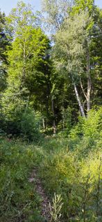 Foto von Martin Temm entlang der Tour