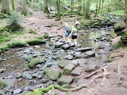 Foto de Arend Derksen a lo largo del recorrido