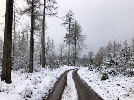 Photo de Christian Schulz le long du parcours