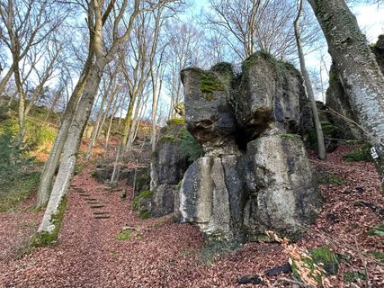 Foto de Norbert Herbig a lo largo del recorrido